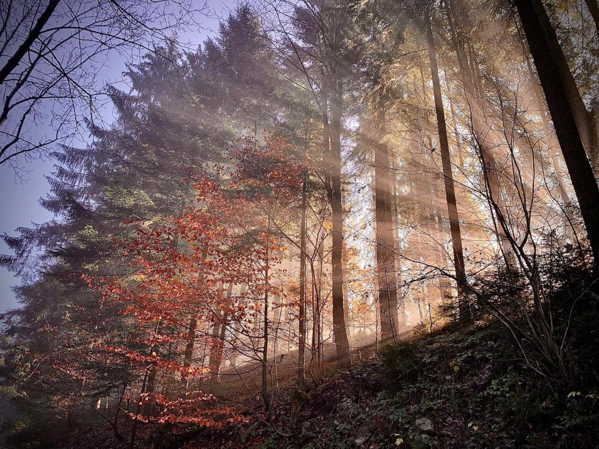 Domki Z Prywatna Sauna- Na Szlaku Milówka Exteriér fotografie