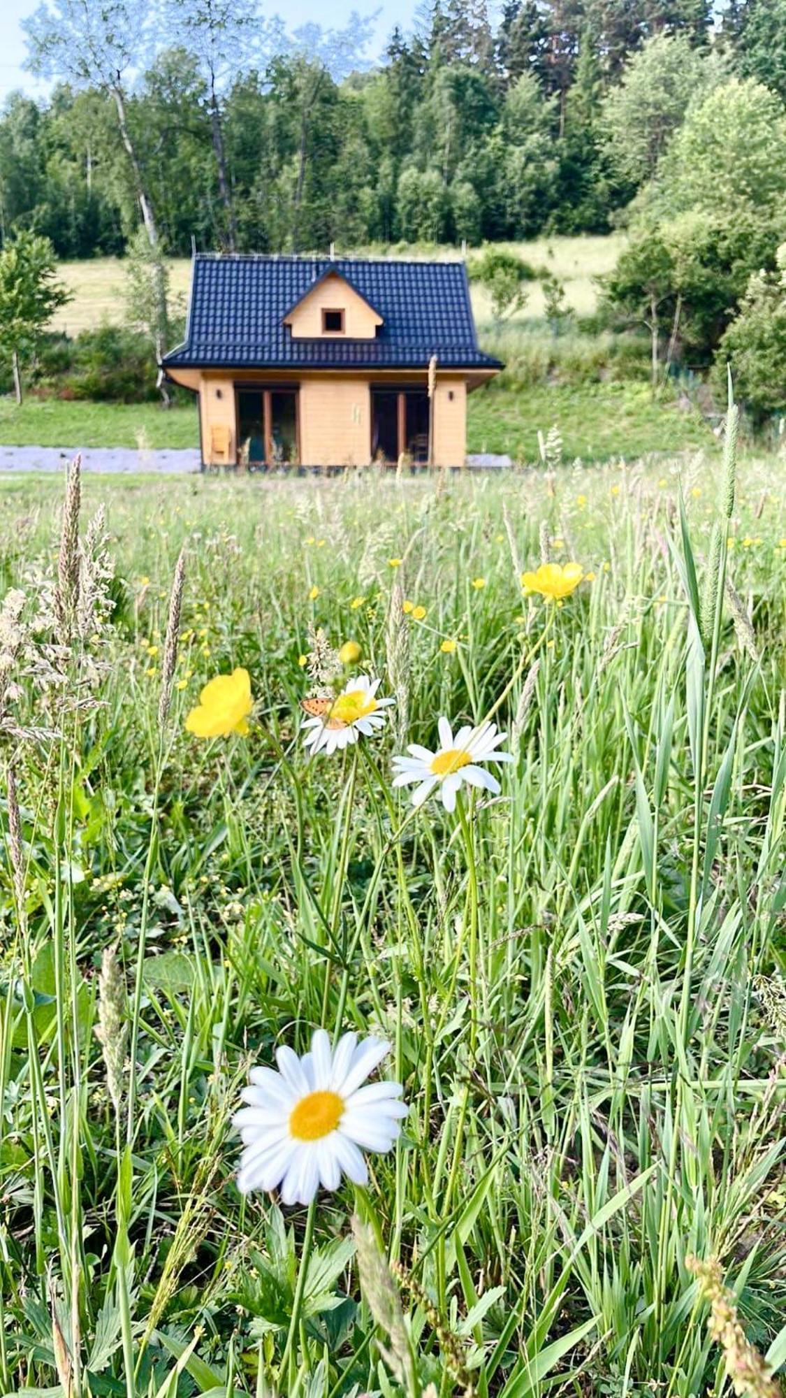 Domki Z Prywatna Sauna- Na Szlaku Milówka Exteriér fotografie